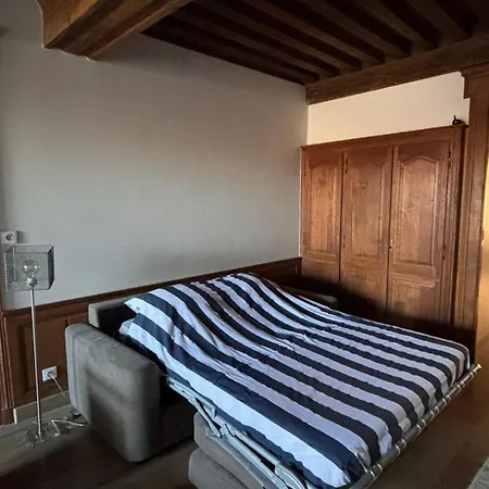 Maison Intra Muros Daire Langres